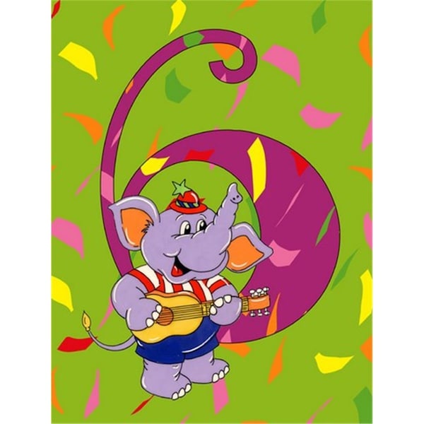 Carolines Treasures Happy 6th Birthday Age 6 Flag Canvas House Size - APH2164CHF