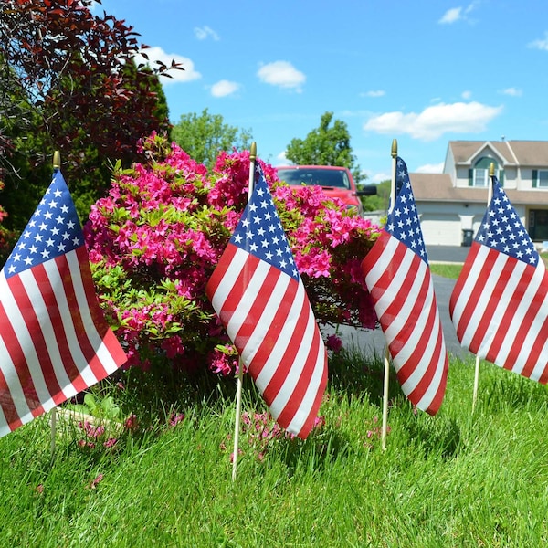 Valley Forge Valley Forge American Stick Flag 8 in. H X 12 in. W - USE8D