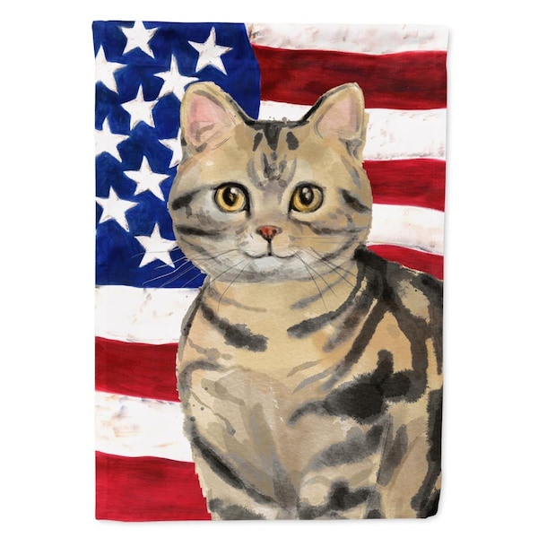 Carolines Treasures American Shorthair Brown Tabby American Flag Flag Canvas House Size - CK3028CHF
