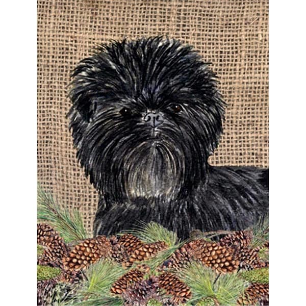 Carolines Treasures 28 x 40 In. Affenpinscher Flag Canvas- House Size - SS4100CHF