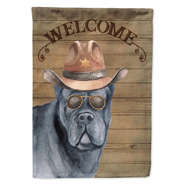 Carolines Treasures 28 x 0.01 x 40 in. Cane Corso Country Dog Flag Canvas House Size - CA72336