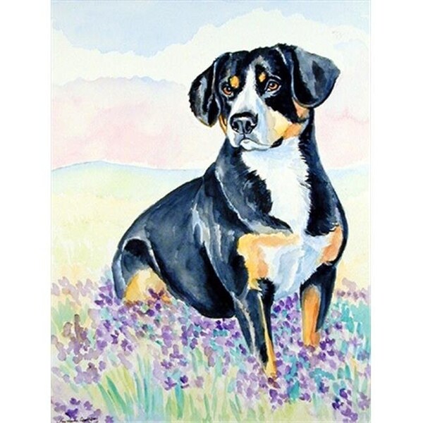 Carolines Treasures Carolines Treasures 7030GF 11 x 15 in. Entlebucher Mountain Dog Flag Garden Size - 7030GF