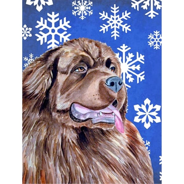 Patioplus 28 x 40 in. Newfoundland Winter Snowflakes Holiday House Size Canvas Flag - PA2554610