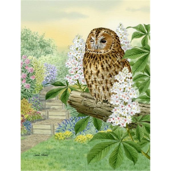 Carolines Treasures Tawny Owl Flag Canvas House Size - ASA2101CHF
