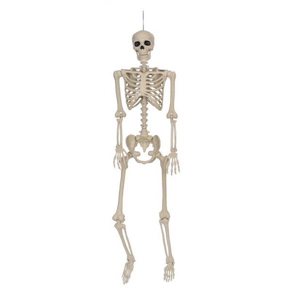 Seasons Seasons 5 ft. Skeleton Halloween Decor - W83343