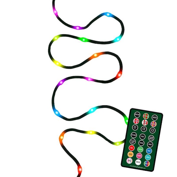 Celebrations Celebrations Platinum LED RGB 100 ct String Christmas Lights 16.5 ft. - RGBR100A