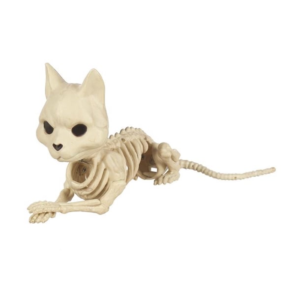 Seasons Usa Seasons 5 in. Skeleton Cat Halloween Decor - W82196