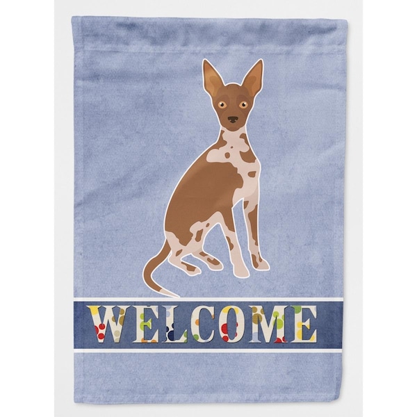 Carolines Treasures Tan Abyssinian or African Hairless Dog Welcome Flag Canvas House Size - CK3683CHF