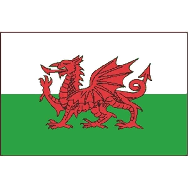 Annin Flagmakers Annin Flagmakers 221110 2 ft. X 3 ft. Nyl-Glo Wales Flag - 221110