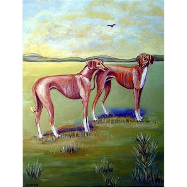 Carolines Treasures 11 x 15 in. Azawakh Hound Flag Garden Size - 7001GF