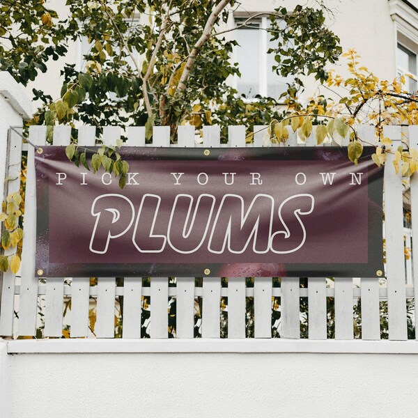 Signmission Pick Your Own Plums, 24 Inch x 72 Inch, Vinyl Banner - B-72-30795