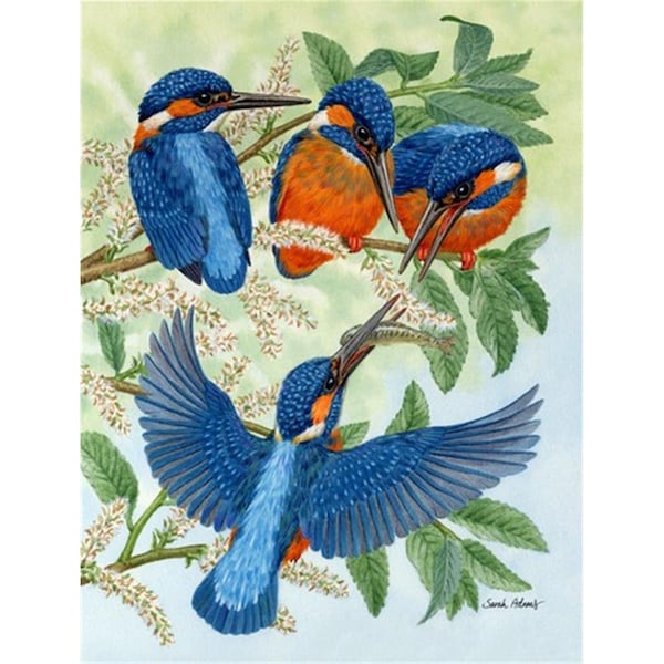 Carolines Treasures Kingfisher Family Flag Garden Size - ASA2120GF