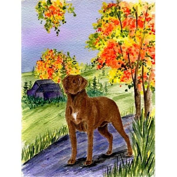 Patioplus Chesapeake Bay Retriever Flag - Garden Size; 11 x 15 in. - PA247077