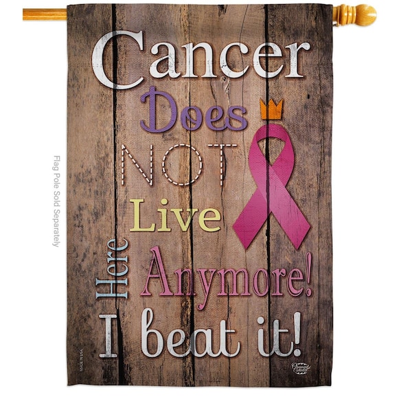 Cuadrilatero Cancer Does Not Live Here Anymore Pink Ribbon Support 28 x 40 in. Dbl-Sided Vertical House Flags - CU3904815