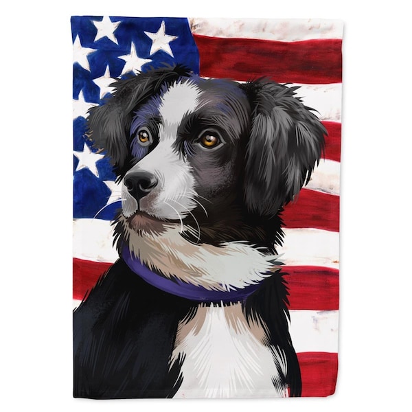 Carolines Treasures Australian Shepherd American Garden Flag - 11 x 0.01 x 15 in. - CK6412GF