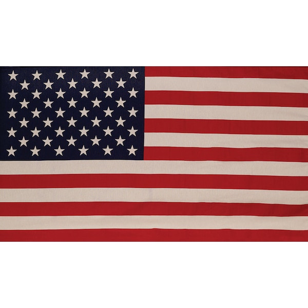 Valley Forge Valley Forge American Flag 29 in. H X 50 in. W - 99000-1