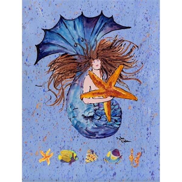Patioplus 28 x 40 in. Mermaid Flag Canvas House Size - PA252030