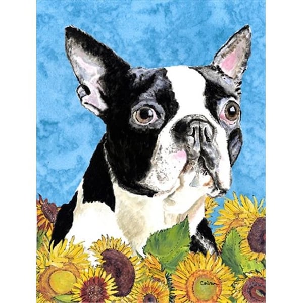 Carolines Treasures Carolines Treasures SC9063CHF Boston Terrier Flag Canvas House Size - SC9063CHF