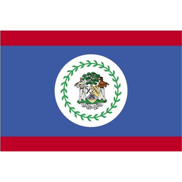 Ss Collectibles 5 ft. X 8 ft. Nyl-Glo Belize Flag - SS165717