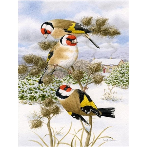 Patioplus European Goldfinch Flag Garden Size - PA252340