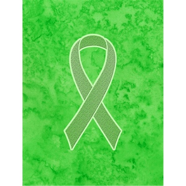 Patioplus Lime Green Ribbon for Lymphoma Cancer Awareness Canvas House Flag Size - 28 x 40 In. - PA2555220