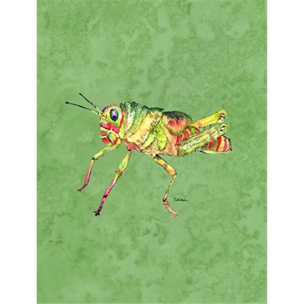 Carolines Treasures 28 x 40 In. Grasshopper On Avacado Flag Canvas- House Size - 8848CHF