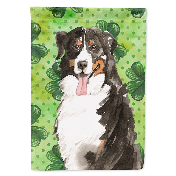 Carolines Treasures Shamrocks Bernese Mountain Dog Flag Canvas House Size - CK1815CHF
