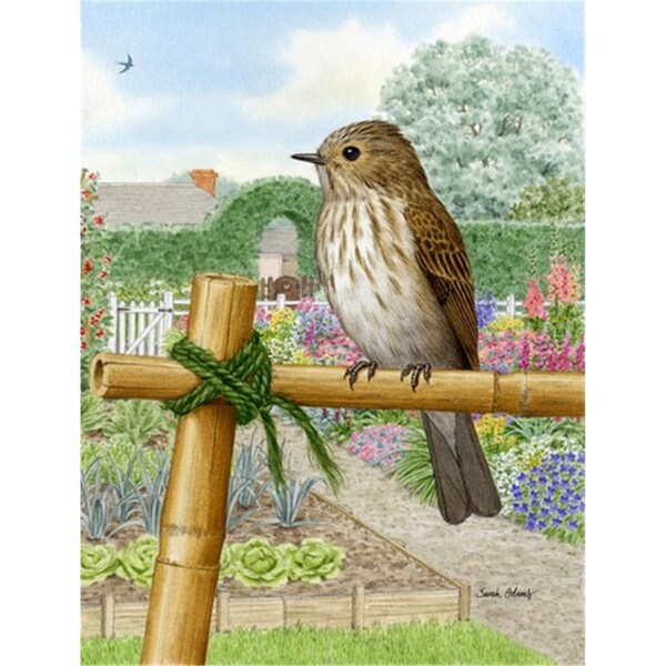 Carolines Treasures Spotted Flycatcher Flag Canvas House Size - ASA2100CHF