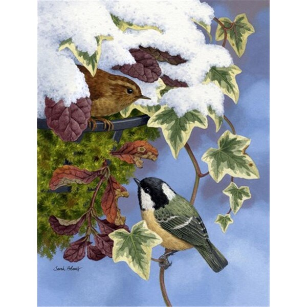 Carolines Treasures Coal Tit and Wren Flag Canvas House Size - ASA2064CHF