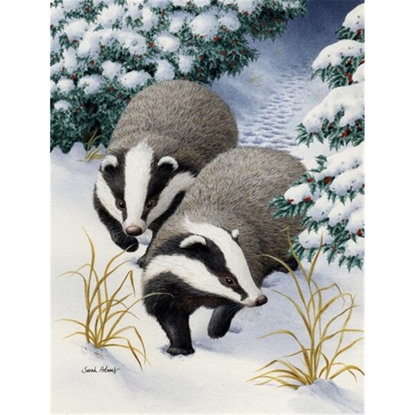 Patioplus Badgers On The Move Flag Garden Size - PA257627