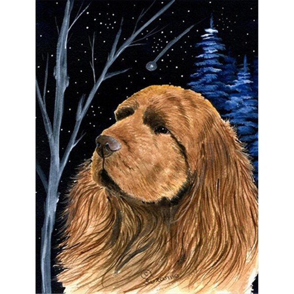 Patioplus Starry Night Sussex Spaniel Flag - Garden Size; 11 x 15 in. - PA244413