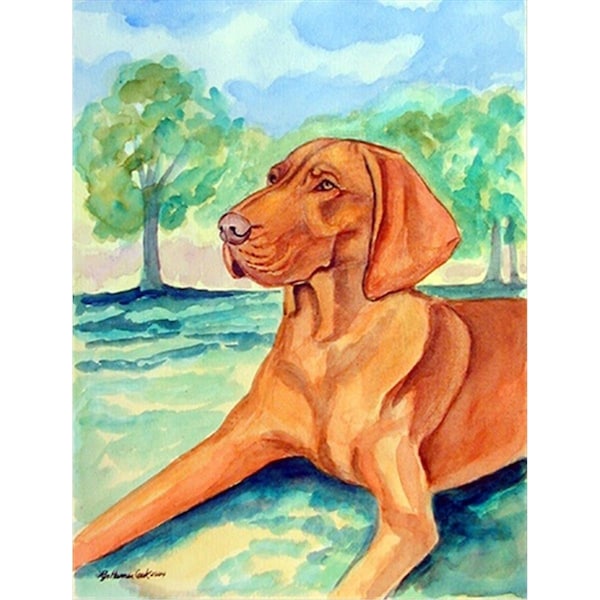 Carolines Treasures 28 x 40 in. Vizsla House Size Canvas Flag - 7264CHF