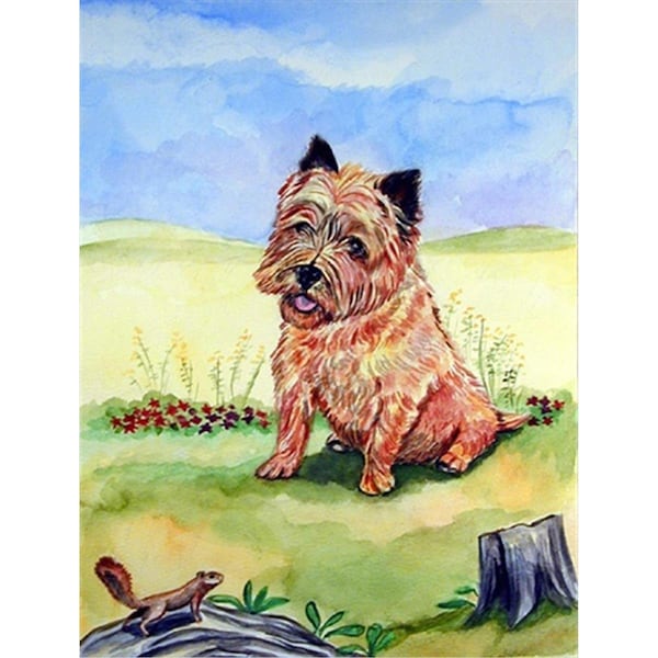 Patioplus 11 x 15 in. Cairn Terrier And The Chipmunk Flag Garden Size - PA247595