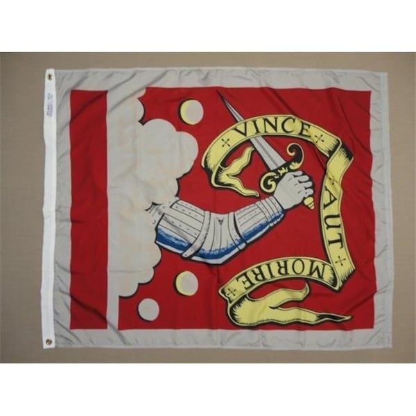 Annin Flagmakers Annin Flagmakers 319726 Nyl-Glo Bedford Flag-3 ft. X 3 ft. - 319726
