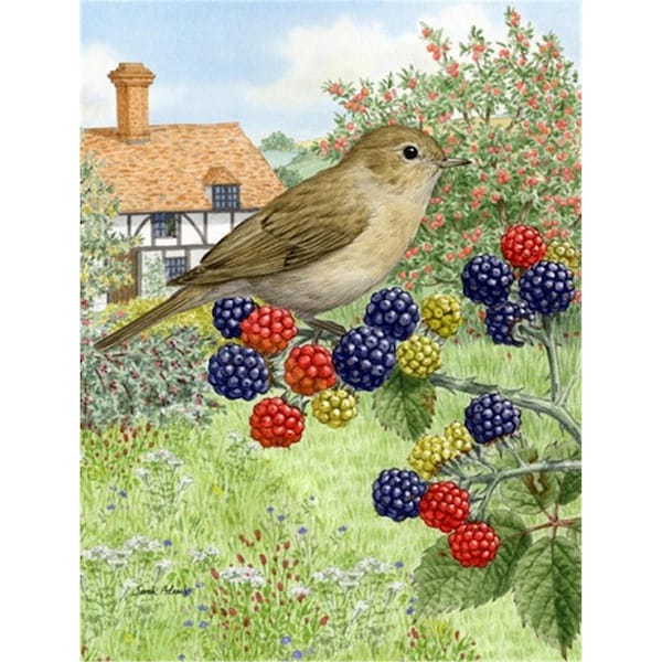 Carolines Treasures Garden Warbler Flag Canvas House Size - ASA2096CHF