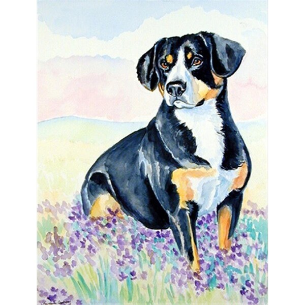 Patioplus 11 x 15 in. Entlebucher Mountain Dog Flag Garden Size - PA2554858