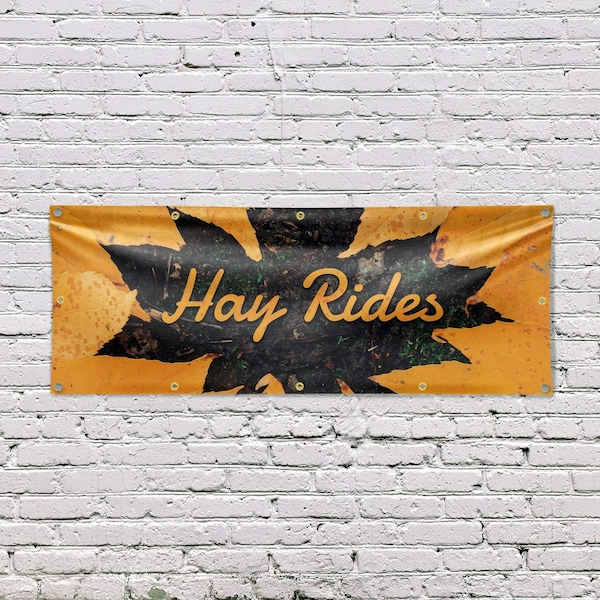 Signmission Hay Rides, 48 Inch x 120 Inch, Vinyl Banner - B-120-30694