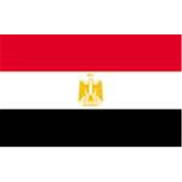 Annin Flagmakers Annin Flagmakers 192357 2 ft. X 3 ft. Nyl-Glo Egypt Flag - 192357
