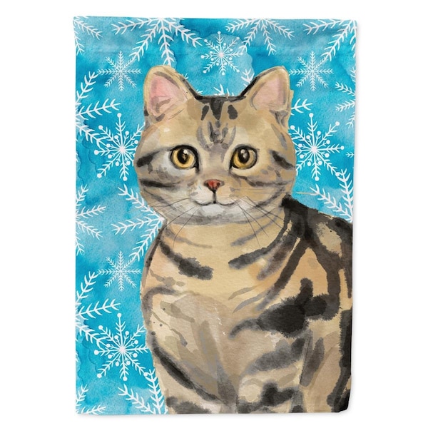 Carolines Treasures American Shorthair Brown Tabby Winter Snowflake Flag Canvas House Size - CK3103CHF