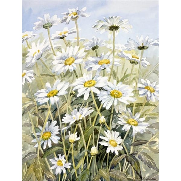 Patioplus Daisies by Bettie Cheesman Flag Garden Size - PA256148