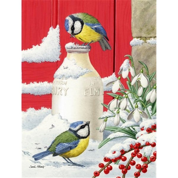 Carolines Treasures Eurasian Blue Tits Birds and Milk Bottles Flag Canvas House Size - ASA2003CHF
