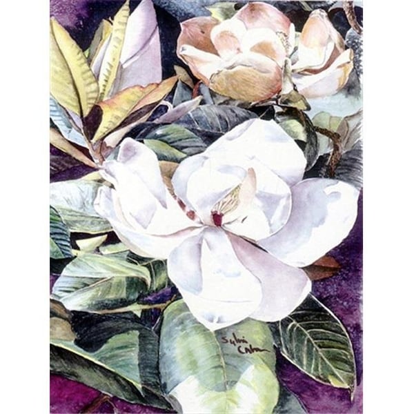 Carolines Treasures Carolines Treasures 8002CHF 28 x 40 in. Flower - Magnolia House Size Canvas Flag - 8002CHF