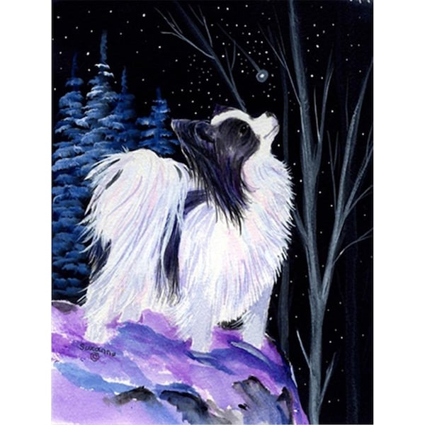 Carolines Treasures Starry Night Papillon Canvas Flag - House Size- 28 x 40 in. - SS8383CHF