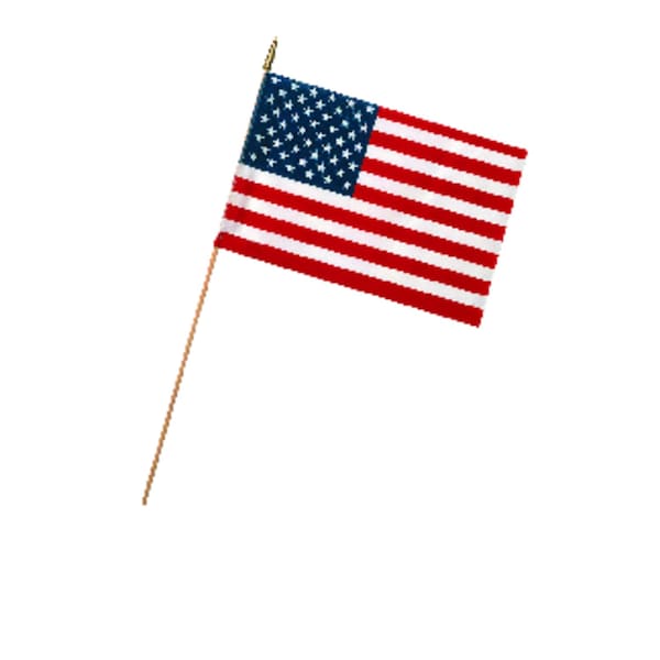 Valley Forge Valley Forge American Stick Flag 12 in. H X 18 in. W - USE12D