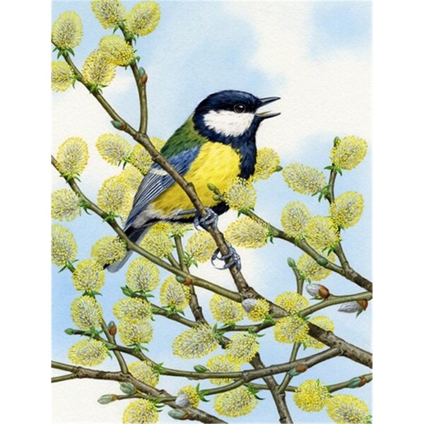 Patioplus Eurasian Blue Tit On A Branch Flag Garden Size - PA252362