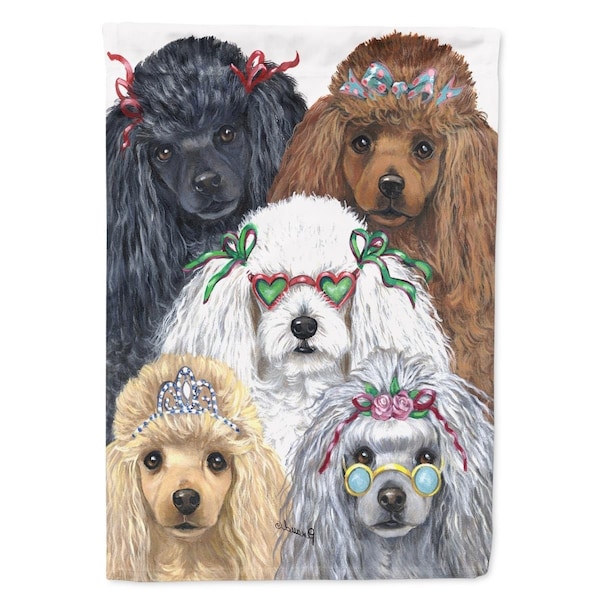 Carolines Treasures 28 x 0.01 x 40 in. Poodle Oodles Canvas House Flag - CA73251