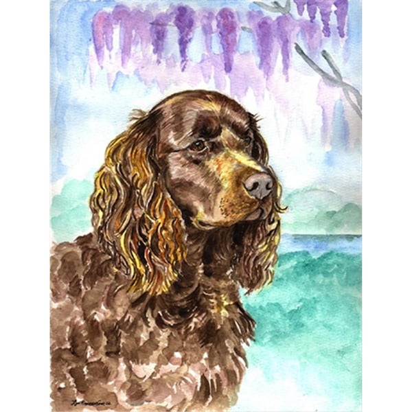 Carolines Treasures 28 x 40 in. American Water Spaniel Flag Canvas House Size - 7008CHF