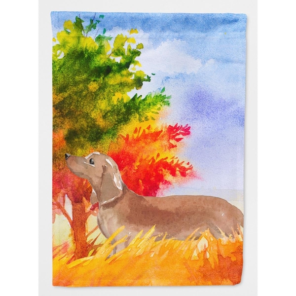 Carolines Treasures Fall Red Dachshund Garden Size Flag - CK1932GF