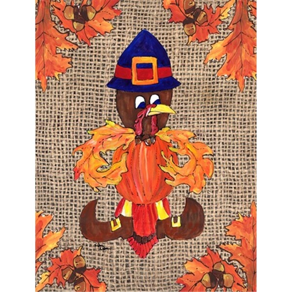 Carolines Treasures Thanksgiving Turkey Pilgrim Fleur de lis Flag Garden Size - 8743GF