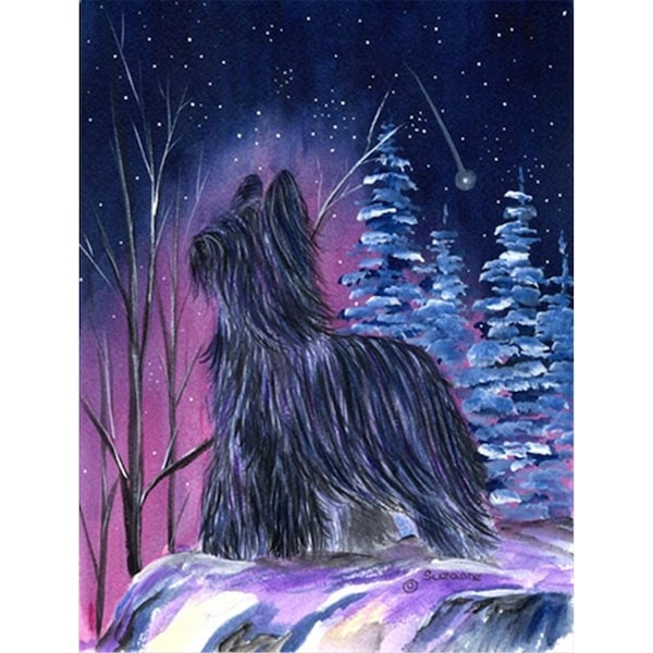 Patioplus Starry Night Briard Flag - Garden Size; 11 x 15 in. - PA631174